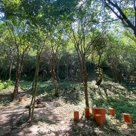 Casa Lila