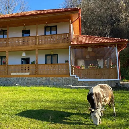 Casa Lila